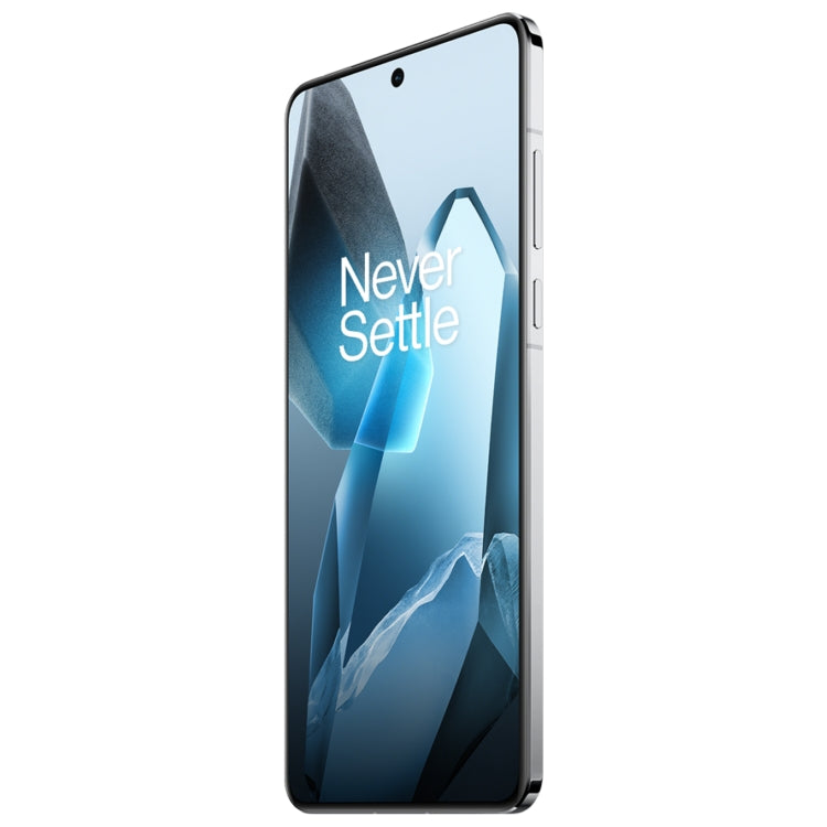 OnePlus 13 AI Phone