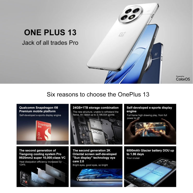 OnePlus 13 AI Phone