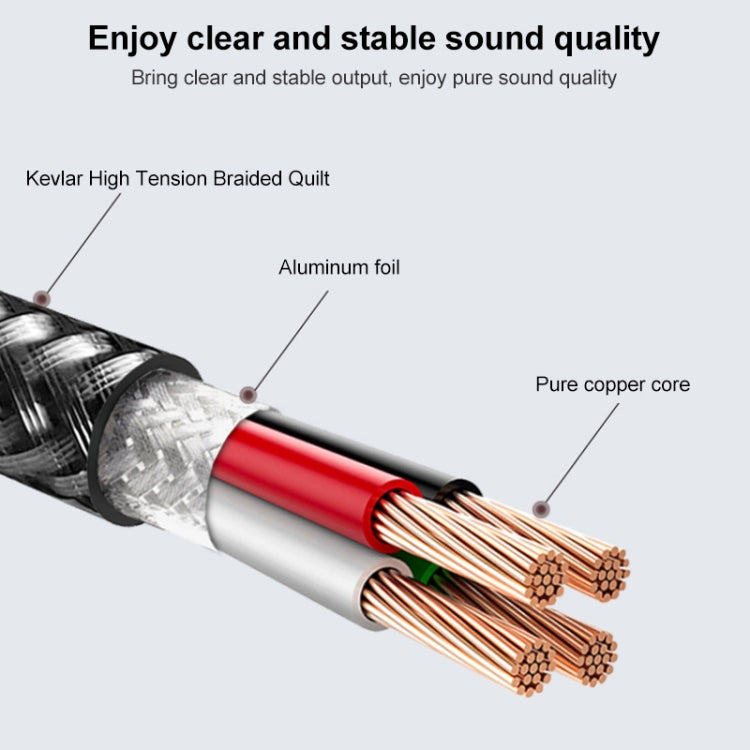 TA12-R2 Type-C to 3.5mm Audio Earphone Adapter