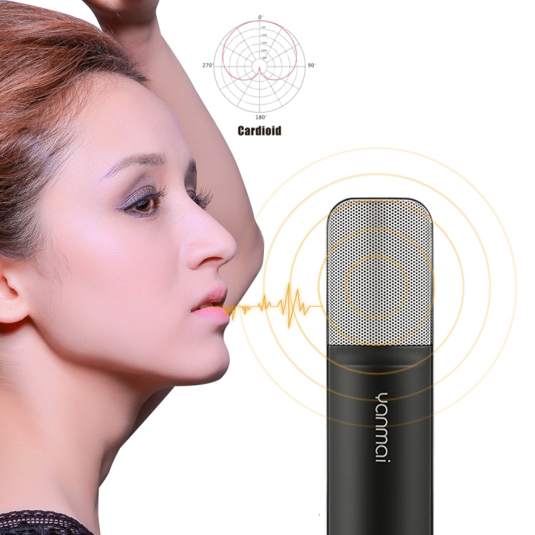 Compatible with PC and Mac for  Live Broadcast Show, KTV, etc.