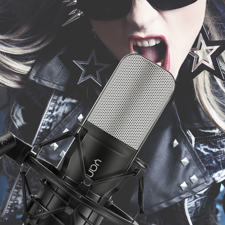 Compatible with PC and Mac for  Live Broadcast Show, KTV, etc.