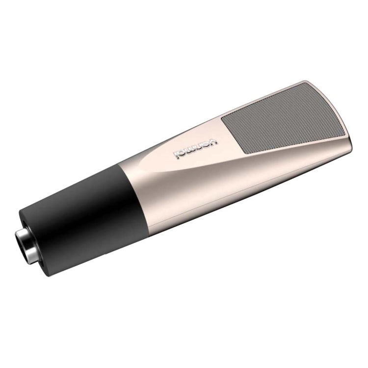 Q6 Professional Game Condenser Microphone