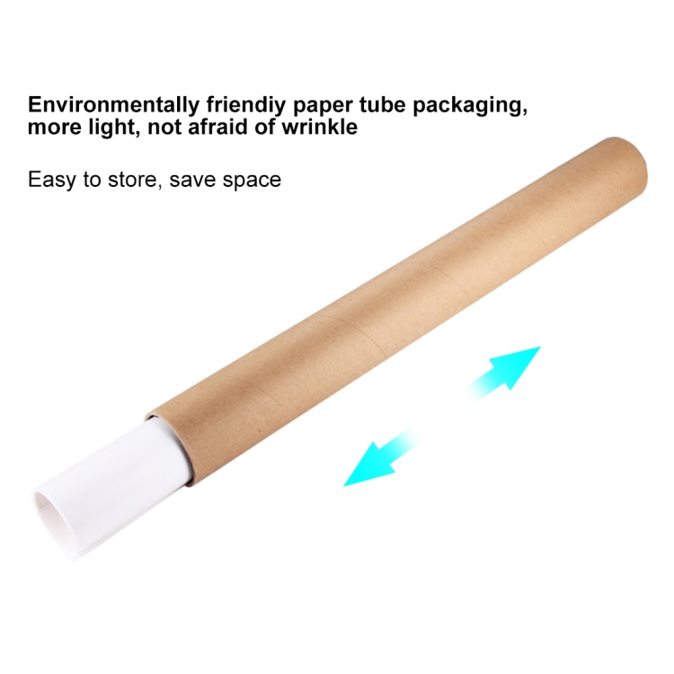 6 PCS 80cm x 40cm Collapsible Photography Studio Background