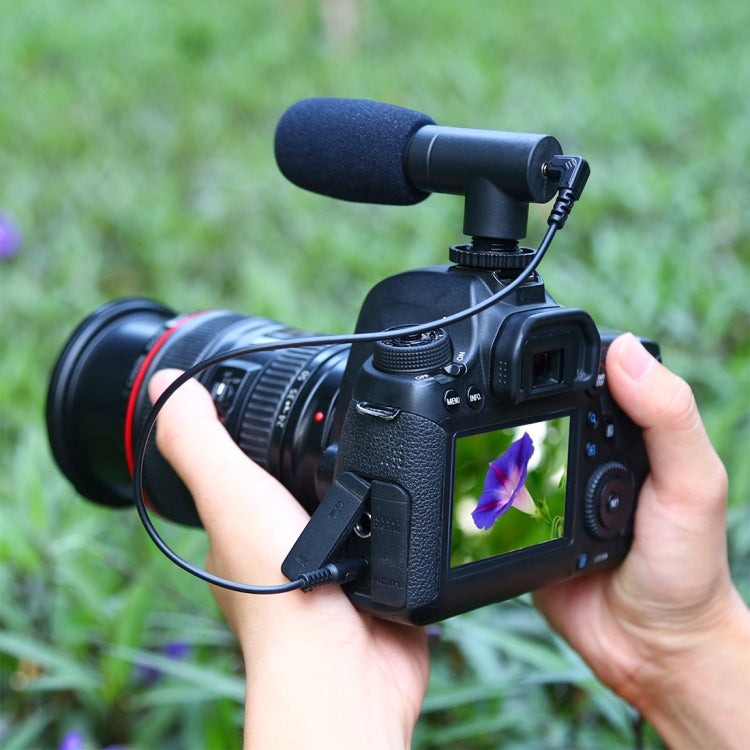 3.5mm Audio Stereo Recording Microphone