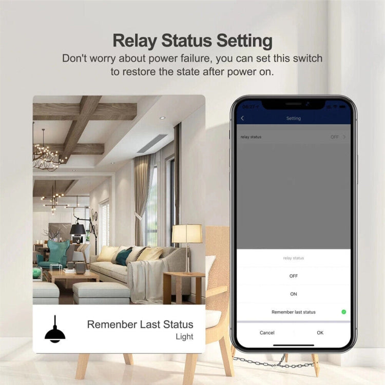Smart Switch Module For Alexa / Google Home / Tuya Smart Life APP