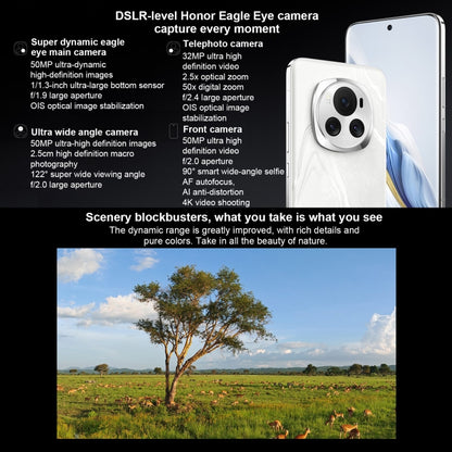 Honor Magic6