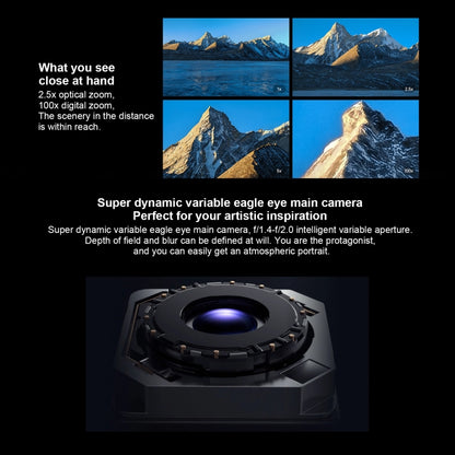 Honor Magic6 Pro