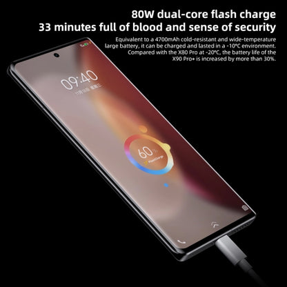 vivo X90 Pro+ 5G 12GB+512GB