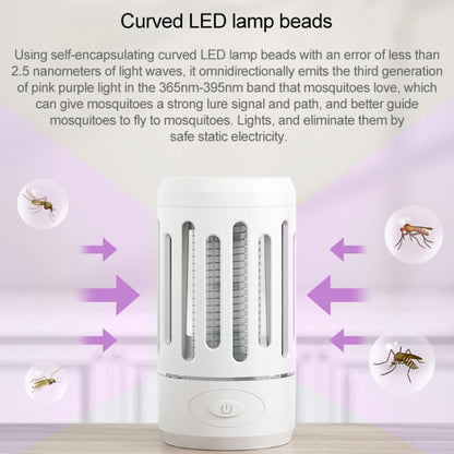 Mosquito Lamp