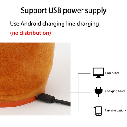 Electric Sunflower Plush Children Toy