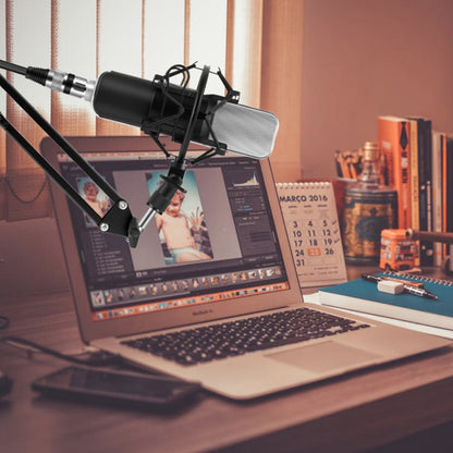 Compatible with PC and Mac for  Live Broadcast Show, KTV, etc.