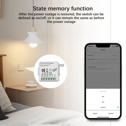 Smart Switch Module For Alexa / Google Home / Tuya Smart Life APP