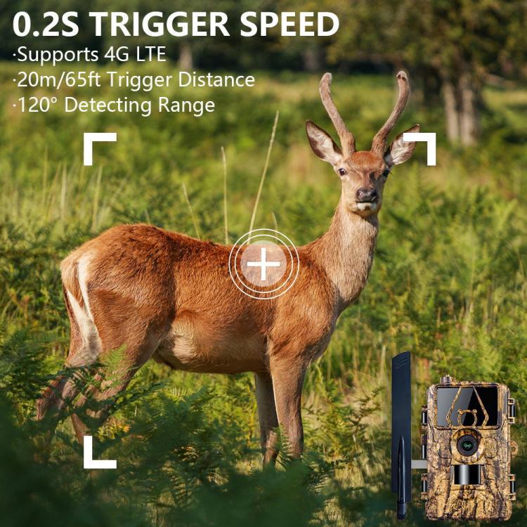 4G Hunting Camera Night Vision SIM Card HD 8K 60MP Photo Video Hunting Camera, PR801LTE European Version, PR801LTE USA  Australia Version - NMNYSX