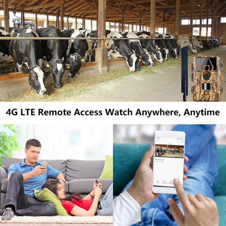 4G Hunting Camera Night Vision SIM Card HD 8K 60MP Photo Video Hunting Camera, PR801LTE European Version, PR801LTE USA  Australia Version - NMNYSX