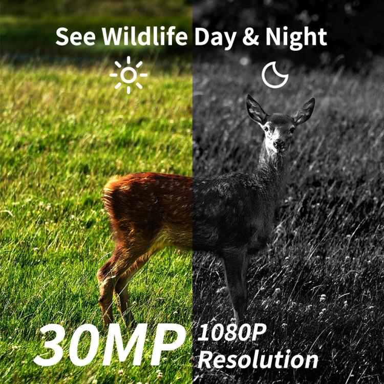 HD Field Camera IR Hunting Camera, PR804LTE - NMNYSX